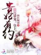 �幬���裺���ϣ�������ԼС˵