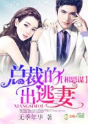 ����Ԥ�����Ϲ���ôһ��С˵