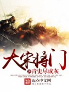 ���ν���С˵