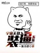 �����޵�װ��ϵͳС˵