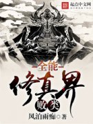 ȫ����������С˵