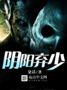 ��������С˵