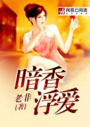 ���㸡��С˵