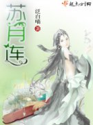 ������С˵