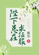 ��������������С˵