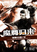 ���������ڶ���С˵