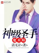 ��ʥ��ħ��ʦС˵