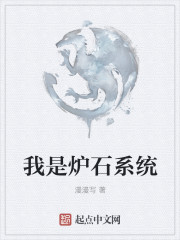 ����¯ʯϵͳС˵