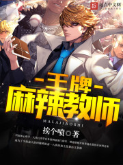 ����������ʦС˵