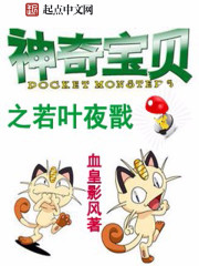 ���汦��֮��Ҷҹ������Ķ�txt����