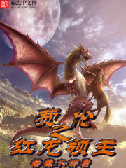 ��������С˵