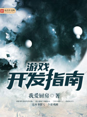 ��Ϸ����ָ��С˵