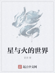 ����������С˵