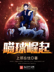 ��������С˵