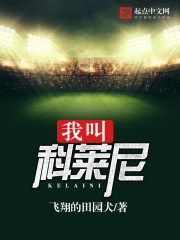 �ҽп�����С˵