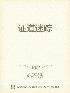 ֤������С˵