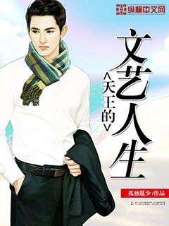 ��������������С˵