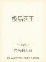 ��Ʒҽ��С˵