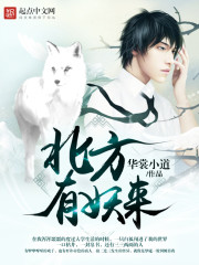 ����������С˵