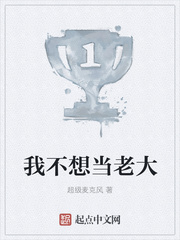 �Ҳ��뵱�ϴ�С˵