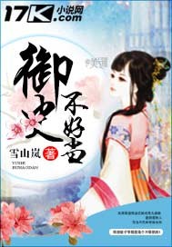 ��ʷ���õ�С˵