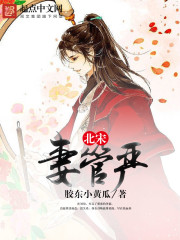 �����޹���С˵