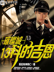 �貳�13�Ƶļ���С˵