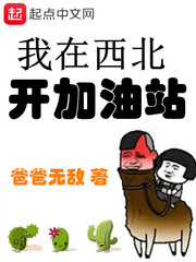 ��������������վС˵