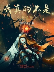 ����Ĳ��ǰ�����С˵