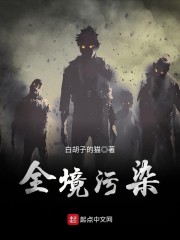 ȫ����ȾС˵