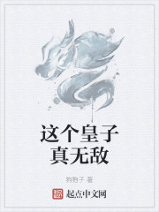 ����������޵�С˵