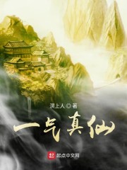 һ������С˵