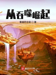 ����������С˵