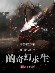 �������ֵ��������С˵