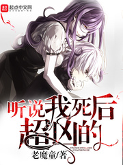 ��˵�������׵�С˵