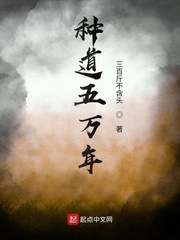 �ֵ�������С˵