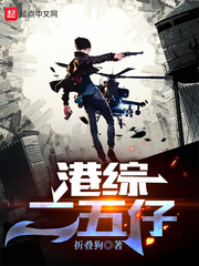 ���۶�����С˵