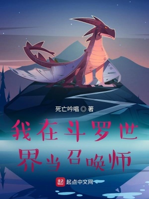 ���ڶ������統�ٻ�ʦС˵