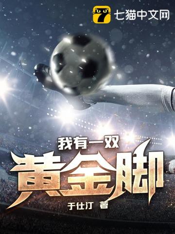 ����һ˫�ƽ��С˵