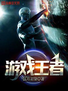 ��Ϸ����С˵