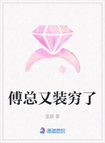 ������װ����С˵