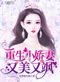 ����С�����������С˵