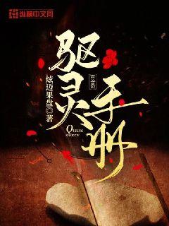 �����ֲ�С˵