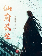 �ɸ�����С˵