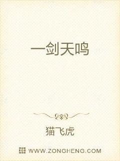 һ������С˵