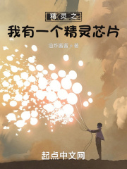 ����֮����һ������оƬ�����Ķ�txt����