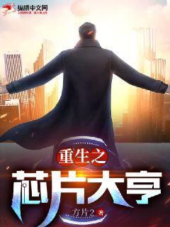 ����֮оƬ���С˵