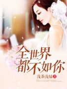 ȫ���綼������С˵