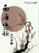 ��������С˵