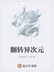 ��ת���ԪС˵